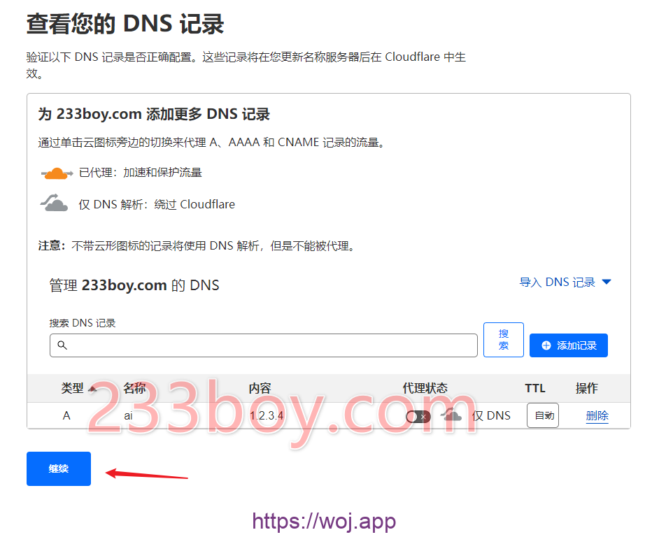 查看 DNS 记录
